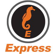 Puerto Vallarta Express LOGO